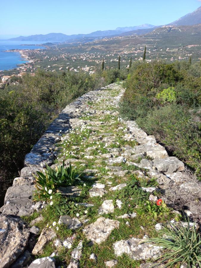 Villa Pefnos Ajos Nikolaos Zewnętrze zdjęcie