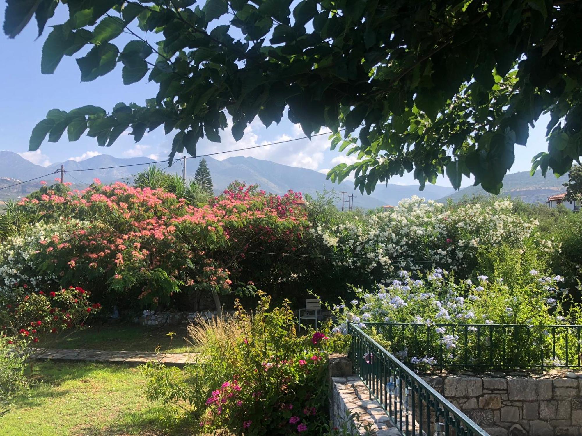 Villa Pefnos Ajos Nikolaos Zewnętrze zdjęcie