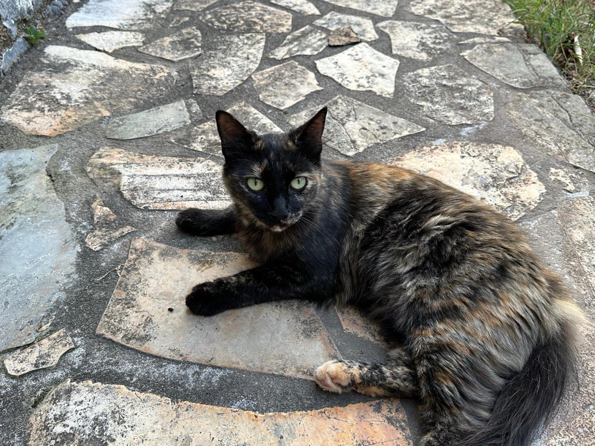 Villa Pefnos Ajos Nikolaos Zewnętrze zdjęcie
