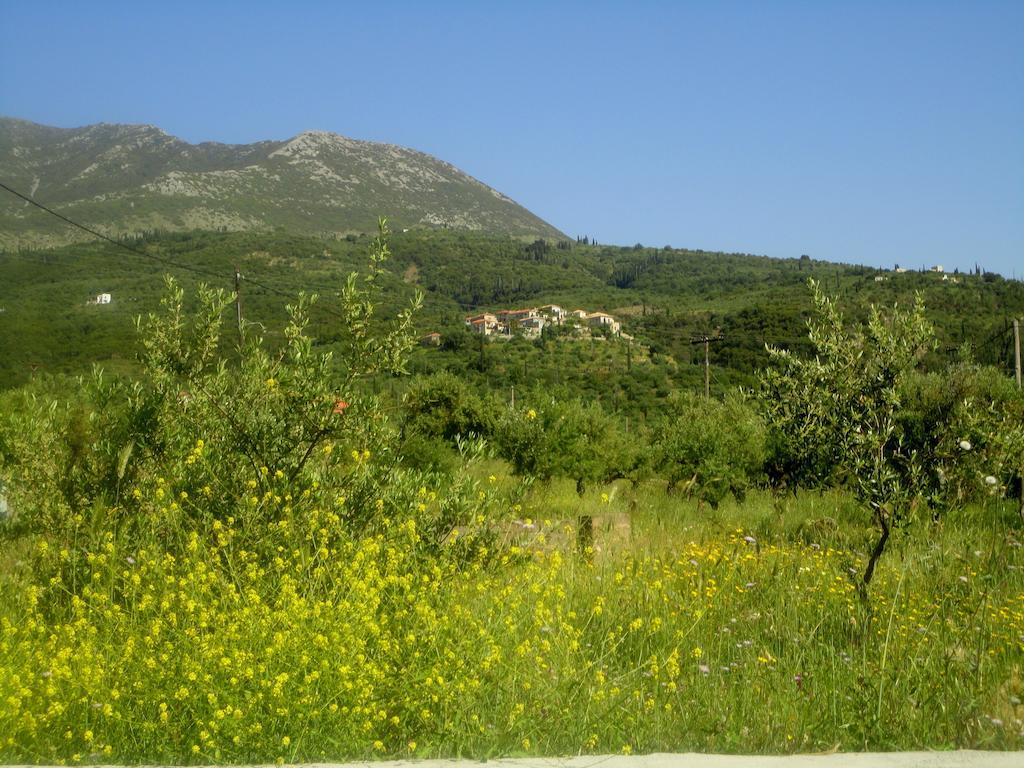 Villa Pefnos Ajos Nikolaos Zewnętrze zdjęcie